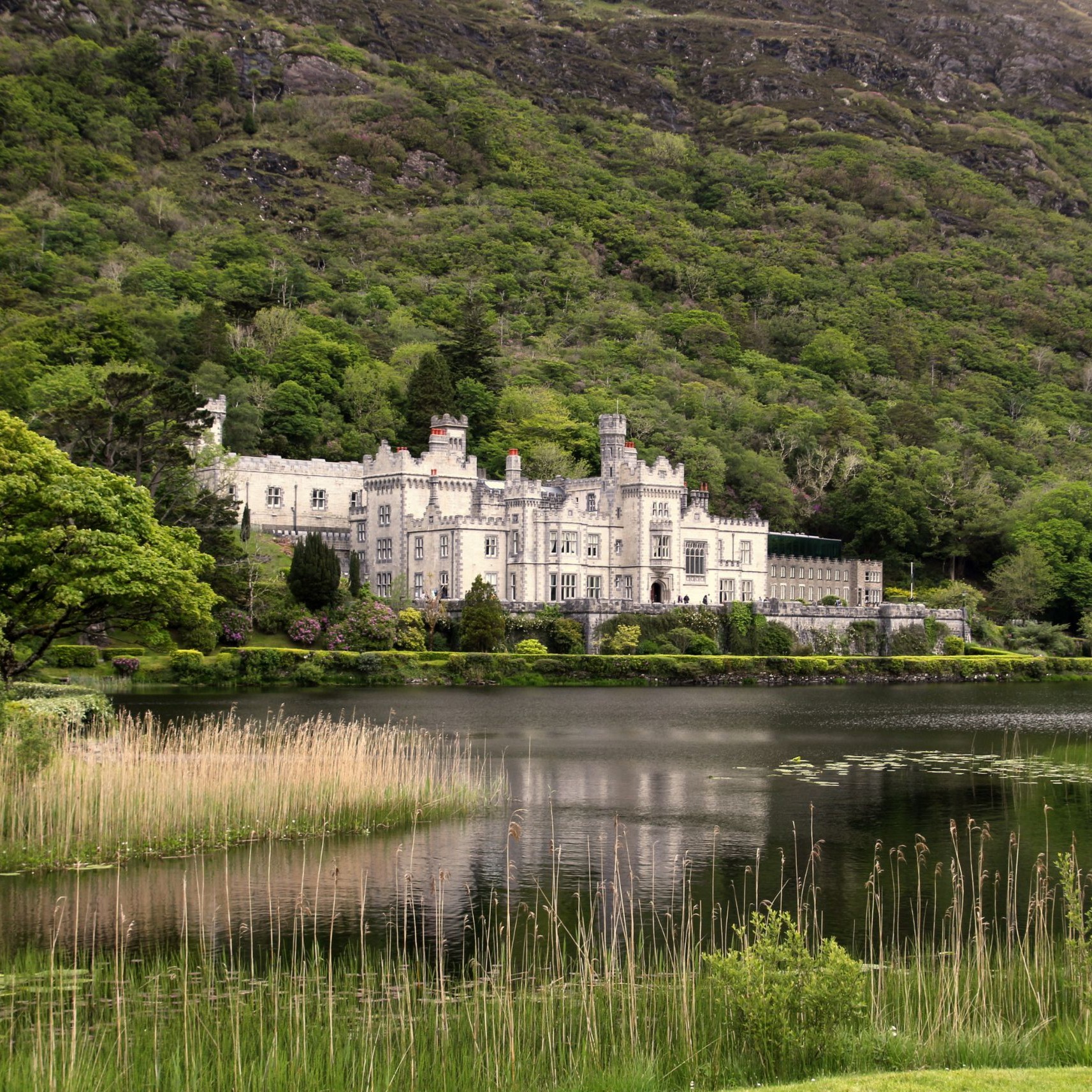 Artículo de blog la abadía de Kylemore
