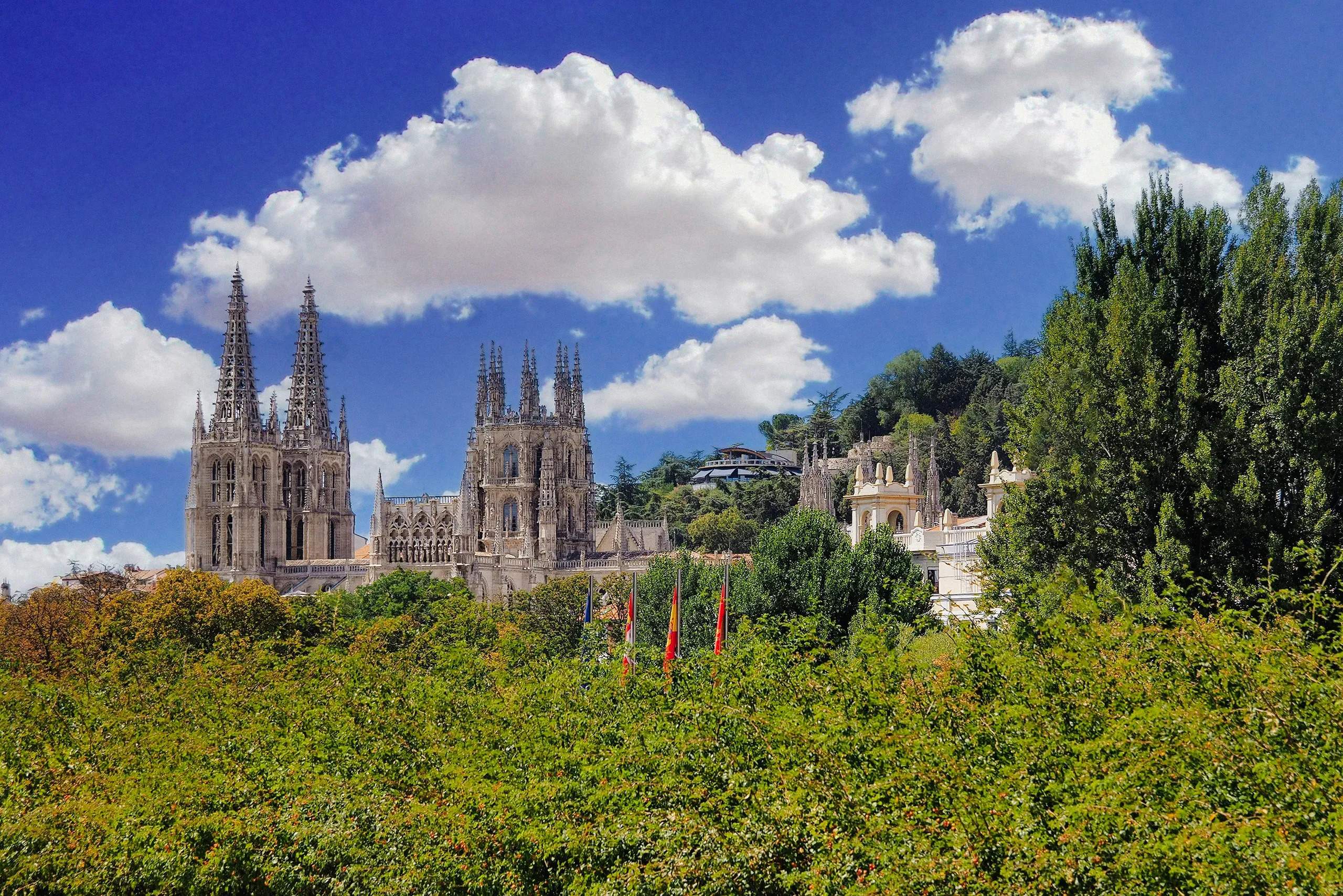Manuel torres garcia pZolsR dxpM unsplash